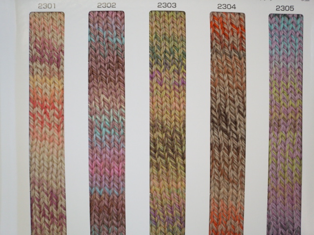 スキークレメント