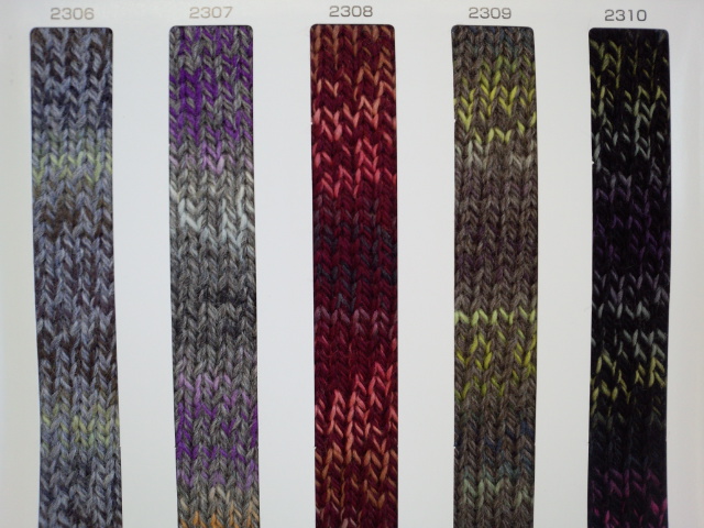 スキークレメント